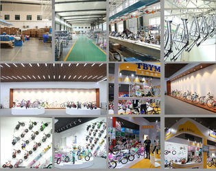 Wanyi Bicycle Guangzong Co., Ltd.