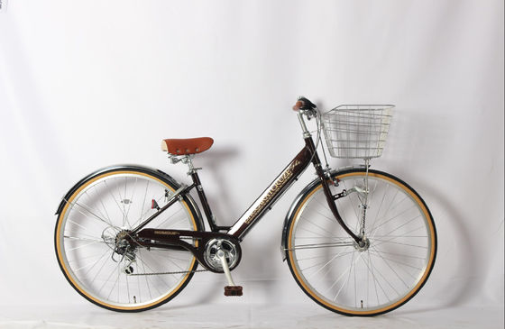 Frame Steel 27 Inch Six Speed Shimano Adult Bike Vintage Beach Bike