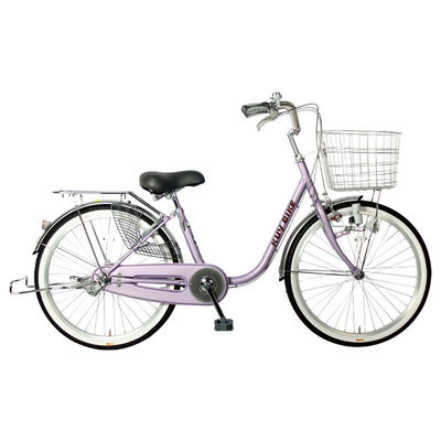 Purple / Beige / Light Green Vintage Single Speed Ladies Bike 22/24 Inch