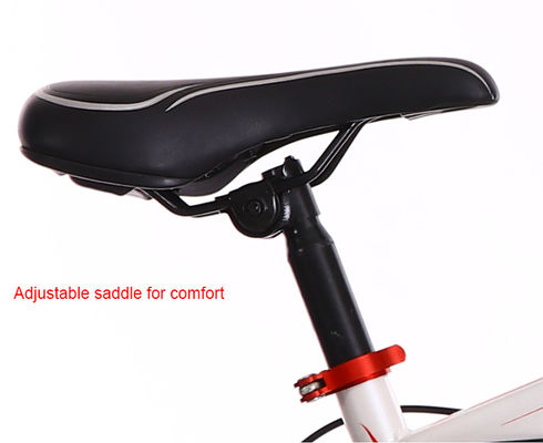 OEM Aluminum Alloy 20 Inch Mountain Bike With Gears For Youth