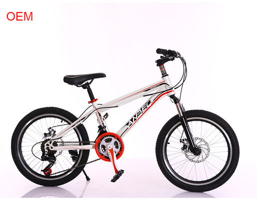 OEM Aluminum Alloy 20 Inch Mountain Bike With Gears For Youth