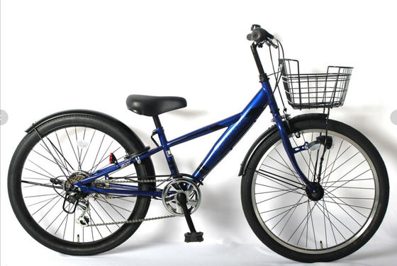 Aluminum Alloy 6 Speed MTB Mountain Bikes 20/22/24 Inch
