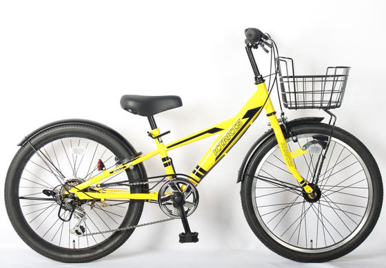 Aluminum Alloy 6 Speed MTB Mountain Bikes 20/22/24 Inch