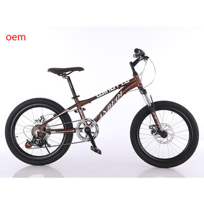 20 Inch 6 Speed MTB Mountain Bikes With Aluminum Alloy Rim