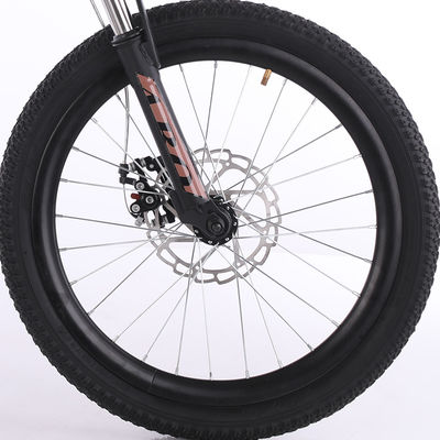 20 Inch 6 Speed MTB Mountain Bikes With Aluminum Alloy Rim
