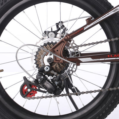 20 Inch 6 Speed MTB Mountain Bikes With Aluminum Alloy Rim