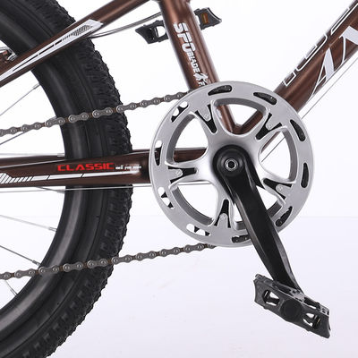 20 Inch 6 Speed MTB Mountain Bikes With Aluminum Alloy Rim