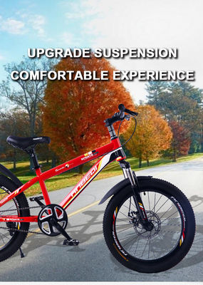 Customized Disc Brake 20 Inch MTB Mountain Bicycles 21 Speed