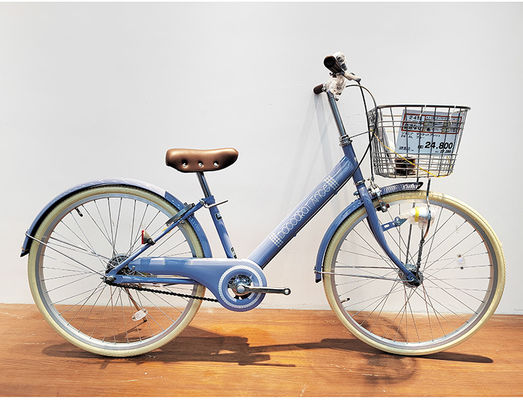 Single Speed Steel City Bikes Ladies 22/24 Inch Retro Bicycle OEM
