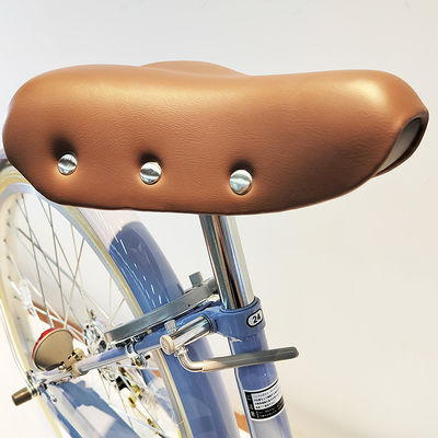 Single Speed Steel City Bikes Ladies 22/24 Inch Retro Bicycle OEM