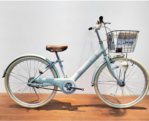 Single Speed Steel City Bikes Ladies 22/24 Inch Retro Bicycle OEM