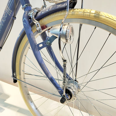 Single Speed Steel City Bikes Ladies 22/24 Inch Retro Bicycle OEM