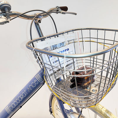 Single Speed Steel City Bikes Ladies 22/24 Inch Retro Bicycle OEM
