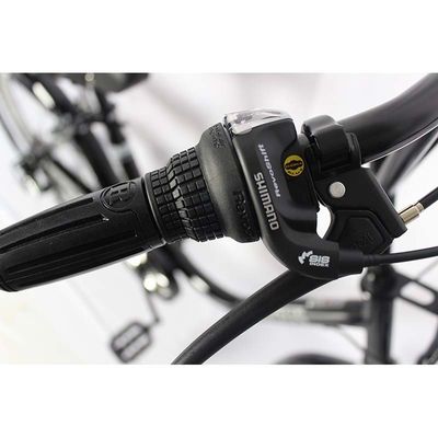 Lightweight 10kg Classic Bicycle / City Bike 6-Speed With Platform Pedals Steel Frame