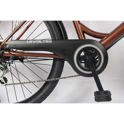 Puncture Resistant Disc Brake Lightweight Platform City Bike 6 Speed For 160-180cm Riders