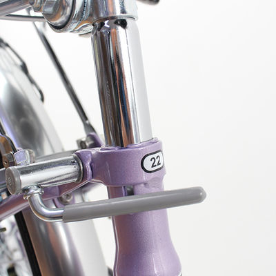 Customized Single Speed City Bicycle With Alloy Rim Unisex Design / Lightweight Carbon Steel Frame