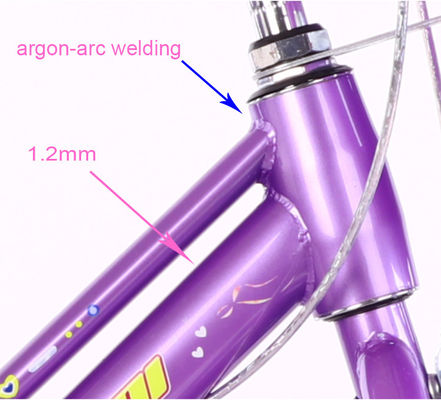 NO Foldable Childrens Training Wheel Bikes Purple 16 Inch Kids Bike OEM