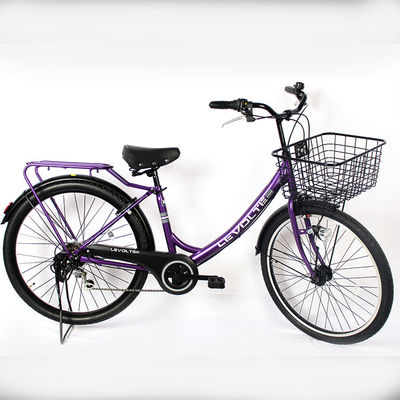 Adults Carbon City Bikes 24 Inch Classic Retro Bicycles Six Speed