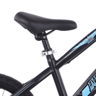 Blue 4 Wheel Lightweight Childrens Bikes 20 Inch OEM ODM