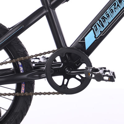 Blue 4 Wheel Lightweight Childrens Bikes 20 Inch OEM ODM