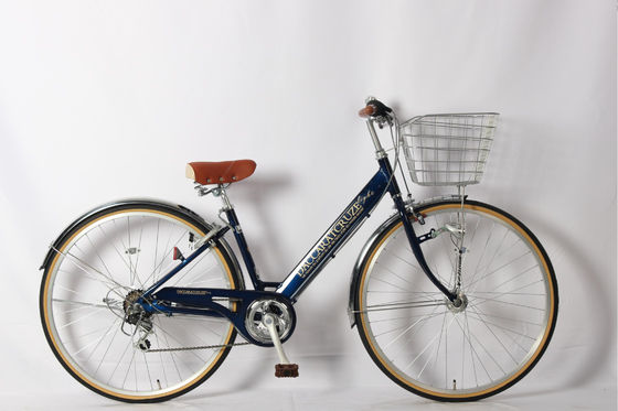Frame Steel 27 Inch Six Speed Shimano Adult Bike Vintage Beach Bike