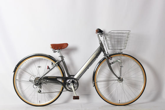 Frame Steel 27 Inch Six Speed Shimano Adult Bike Vintage Beach Bike