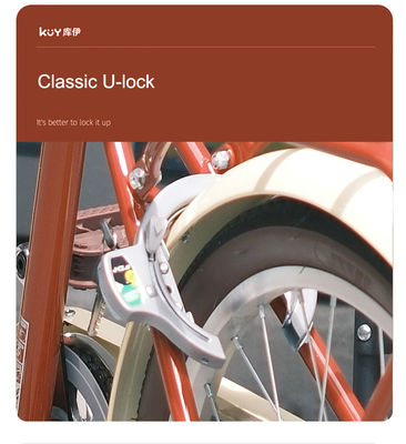Custom City Steel Bikes With Caliper Brake Steel Frame And 700*35C Tires