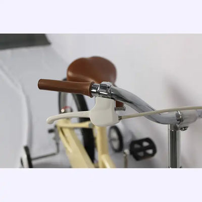 Aesthetic 14 Inch Bike With Training Wheels For Children