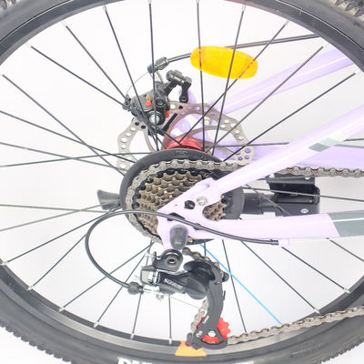 Wholesale 21 Speed Customized Cheap Adult Mountain Bike 24/27.5 Inch Bicycle
