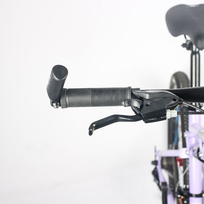 Wholesale 21 Speed Customized Cheap Adult Mountain Bike 24/27.5 Inch Bicycle