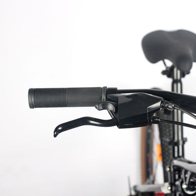 Aullt Unisex 26 Inch Mountain Bike 21 Speed Mtb Women Men Mountain Bicycle