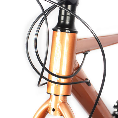 Hot Selling Men And Women Good Quality Single Speed 700C Bicycle Mountain Bike