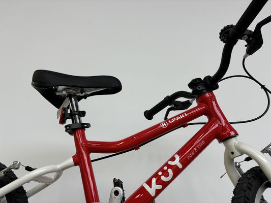 Ultra Lightweight Childrens Bikes 20 Inch Aluminum Alloy Kids
