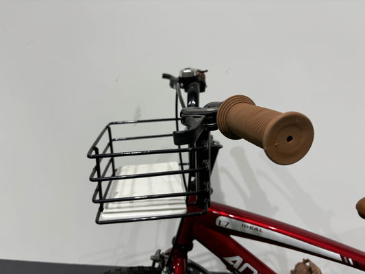 Lightweight Aluminum Alloy Childrens Bike With Front Suspension