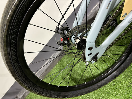 Professional 20-26 Inch MTB Mountain Bikes Shimano Tourney Rear Derailleur and Disc Brakes
