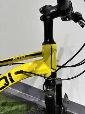 Customized MTB Mountain Bikes With 6 Speed 21 Gears / Shimano Derailleurs