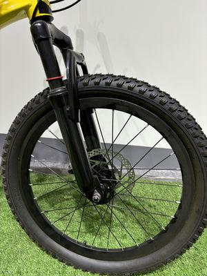 Customized MTB Mountain Bikes With 6 Speed 21 Gears / Shimano Derailleurs