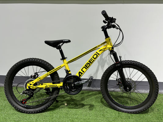 Customized MTB Mountain Bikes With 6 Speed 21 Gears / Shimano Derailleurs