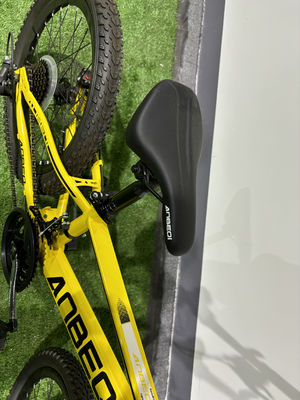 Customized MTB Mountain Bikes With 6 Speed 21 Gears / Shimano Derailleurs