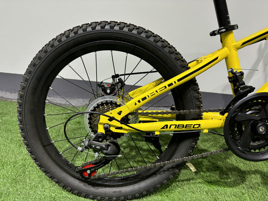 Customized MTB Mountain Bikes With 6 Speed 21 Gears / Shimano Derailleurs