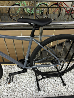 Customized 21 Speed Shimano Tourney Geared Mountain Bike With Carbon Fiberand Disc Brakes