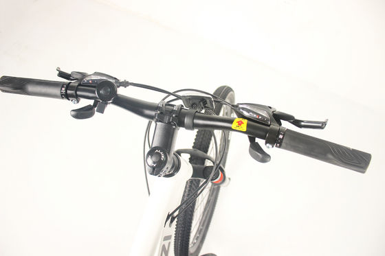 OEM 21 Speed MTB Mountain Bikes With Shimano Tourney Front Derailleur