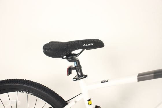 OEM 21 Speed MTB Mountain Bikes With Shimano Tourney Front Derailleur