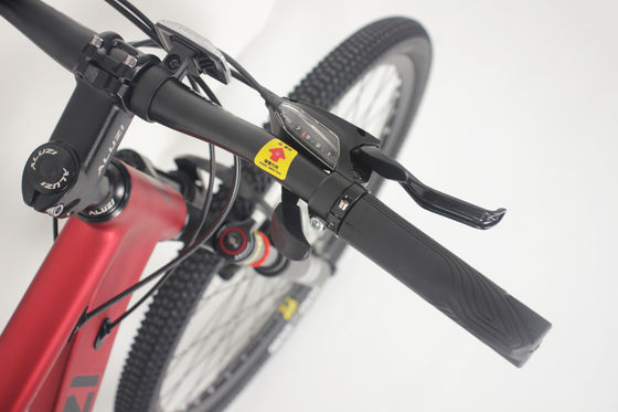 Professional Shimano Tourney Derailleur 21 Speed Mountain Bike For Mountain Adventure