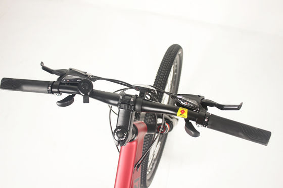21 Speed Adult Mountain Bike Carbon Steel Dual Disc Brake Shimano Tourney