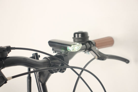 Male Long Distance Riders Folding Road Bike With Powerful Motor