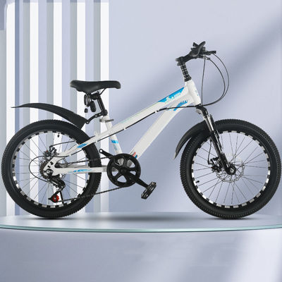 Aluminum Alloy Rims Lightweight Childrens Bikes With Adjustable Seat Height And 6 Speed Gears