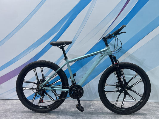 Customized MTB Mountain Bikes with Comfort Saddle and Aluminum Frame