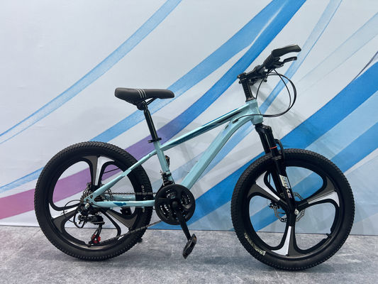 Customized MTB Mountain Bikes with Comfort Saddle and Aluminum Frame