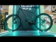 Professional Shimano Tourney Derailleur 21 Speed Mountain Bike For Mountain Adventure